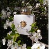 Amouage Honour