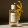 Chloé Ylang Cananga Chloé Ylang Cananga