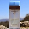 Dolce&Gabbana Light Blue edt