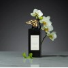 Trussardi Musc Noir Perfume Enhancer Trussardi Musc Noir Perfume Enhancer